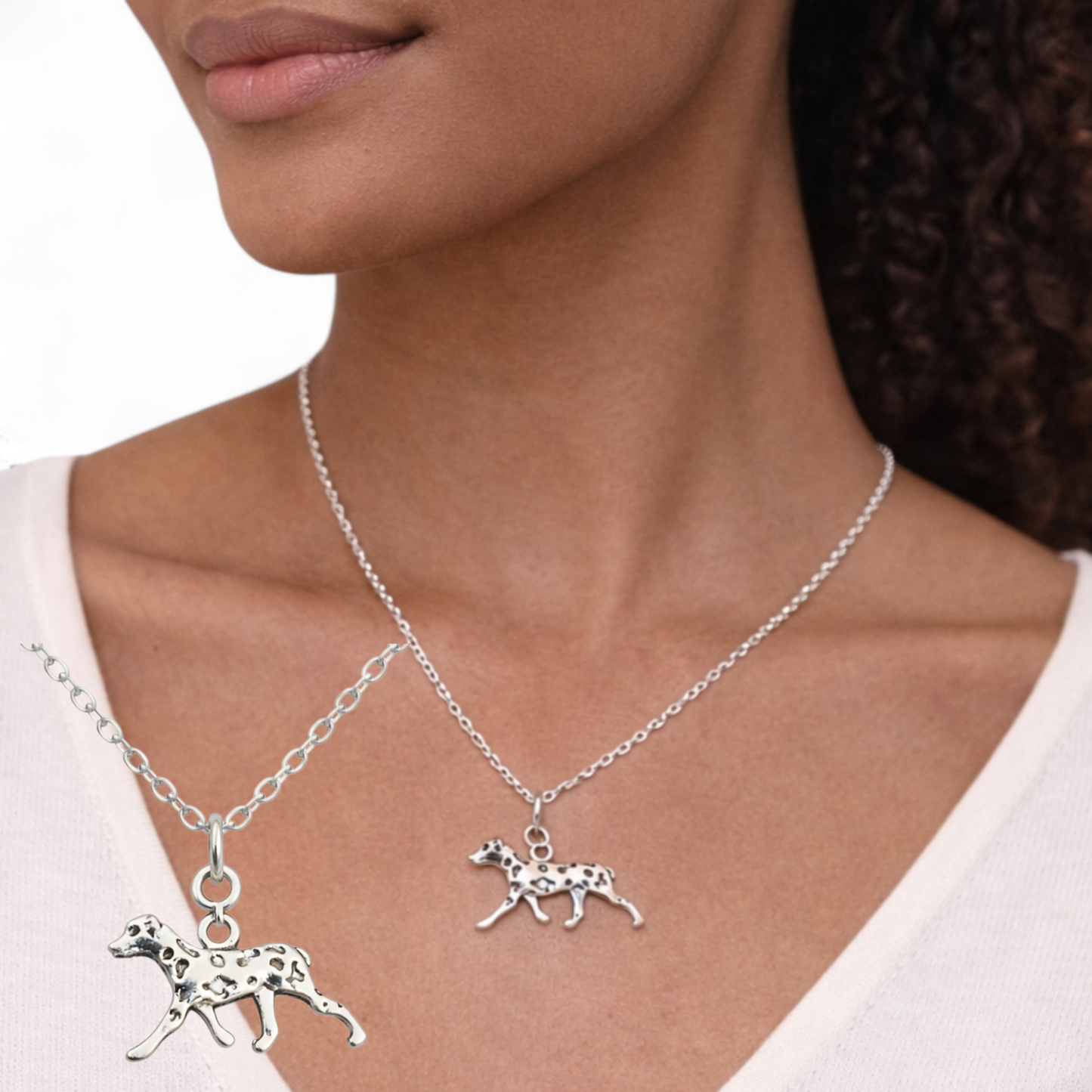 Spot On Necklace - The Pet Drop