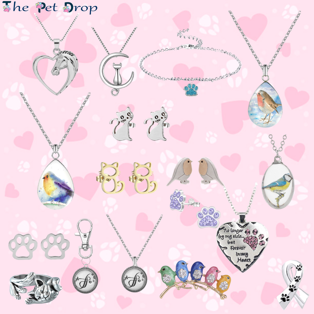 From Concept to Creation: The Journey of The Pet Drop