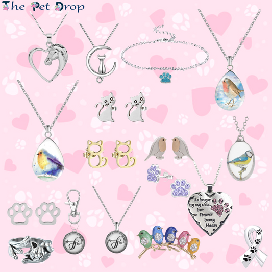 From Concept to Creation: The Journey of The Pet Drop