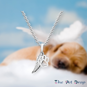 silver angel wing with a small silver paw print hanging from a silver chain.