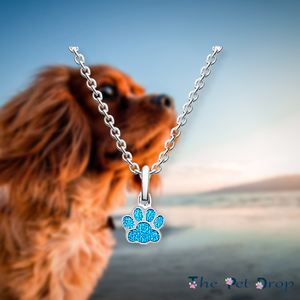 blue crystal paw print silver pendant hanging on a silver chain