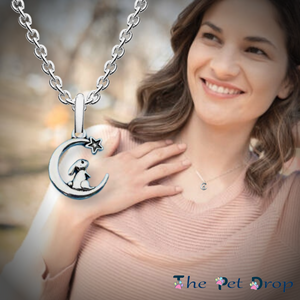 silver bunny rabbit sitting on the moon with a star on it. silver pendant hanging on a silver chain on a woman's neck.