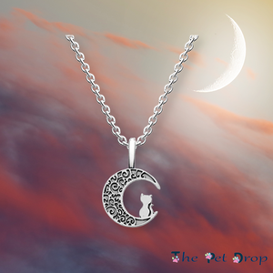 silver patterned moon pendant with a cat sitting on it hanging on a silver chain.