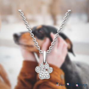 silver clear crystal paw pendant hanging on a silver chain.