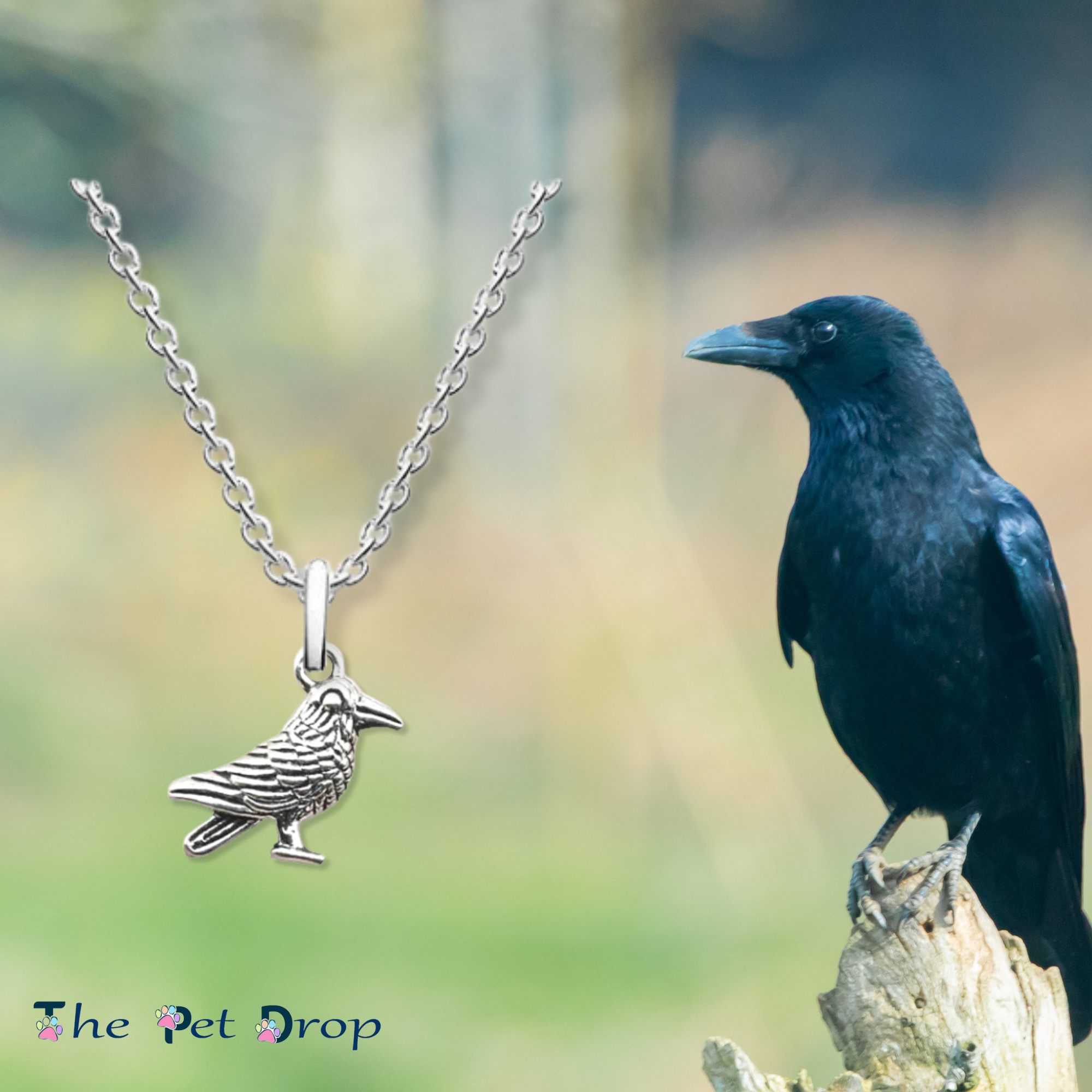 Clever Crow Necklace