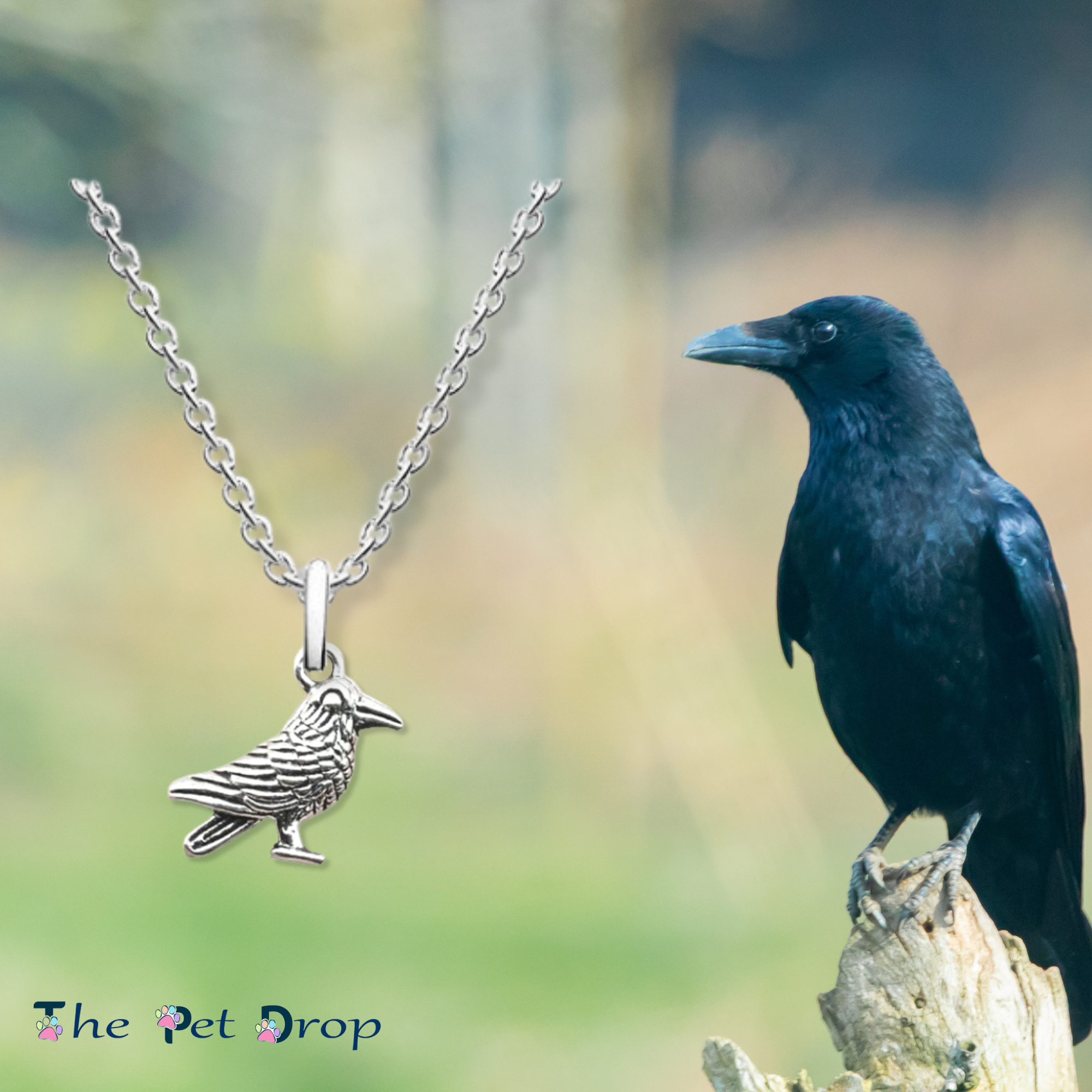 Alba Laser Products Handmade Crow Bird Necklace Pendant – Black Acrylic, Surgical Steel Chain, 45cm