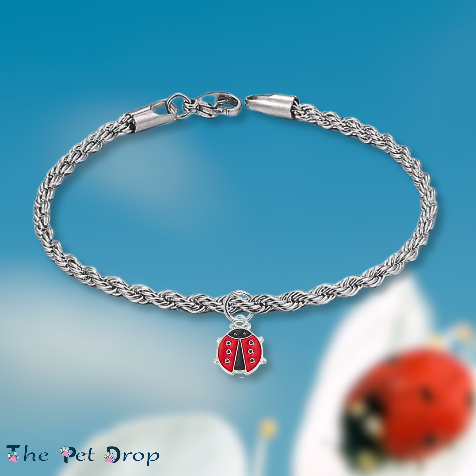 Tiny Ladybird Black Wish Bracelet - Hemp With Red Enamel Charm, 12 Inch Adjustable, Unisex Friendship Anklet