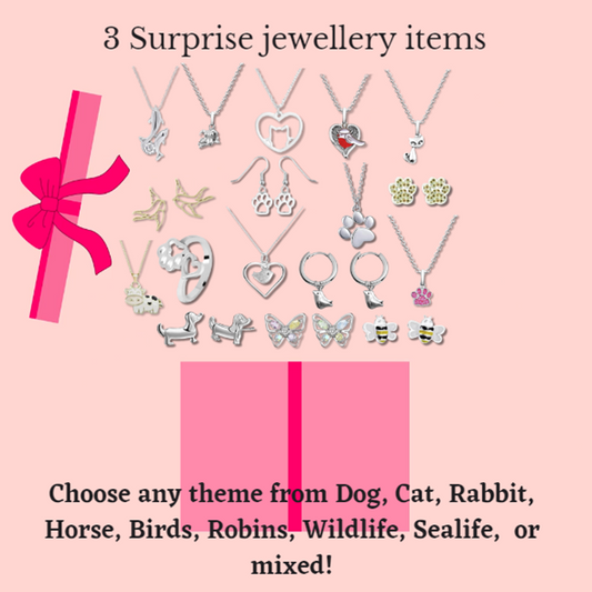 3 Surprise Jewellery Items - The Pet Drop