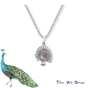 Pretty Peacock Necklace