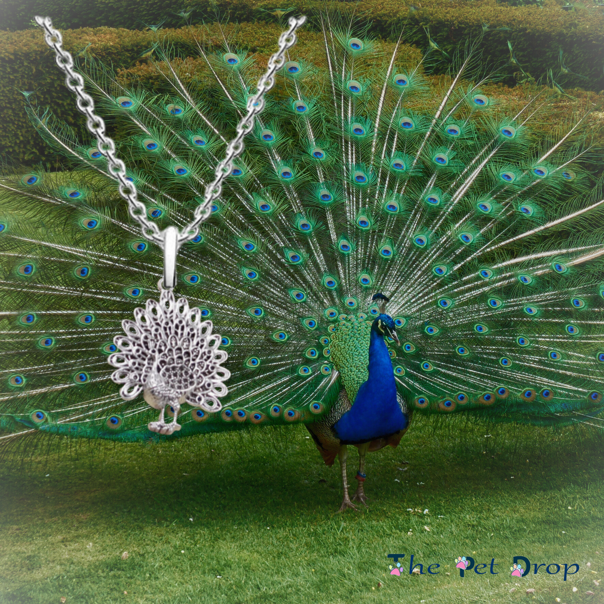 Pretty Peacock Necklace