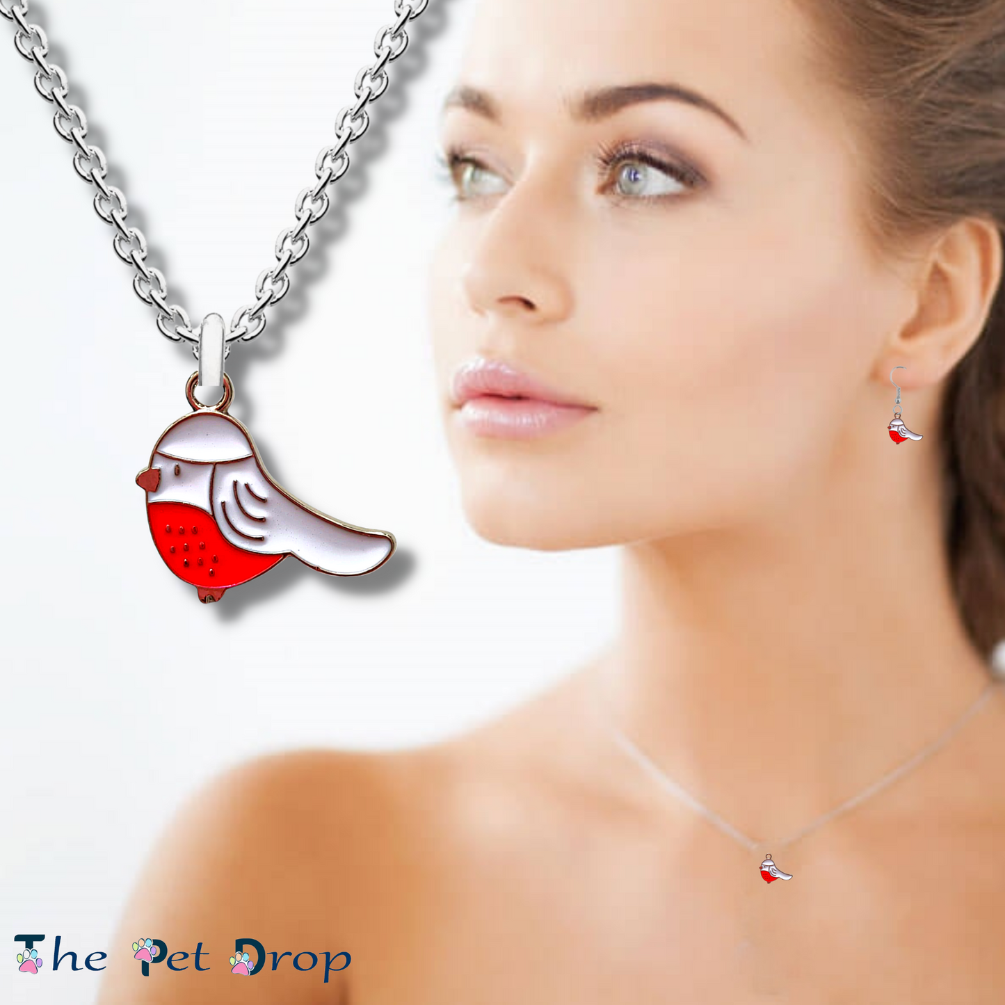 Christmas Robin Collection - The Pet Drop