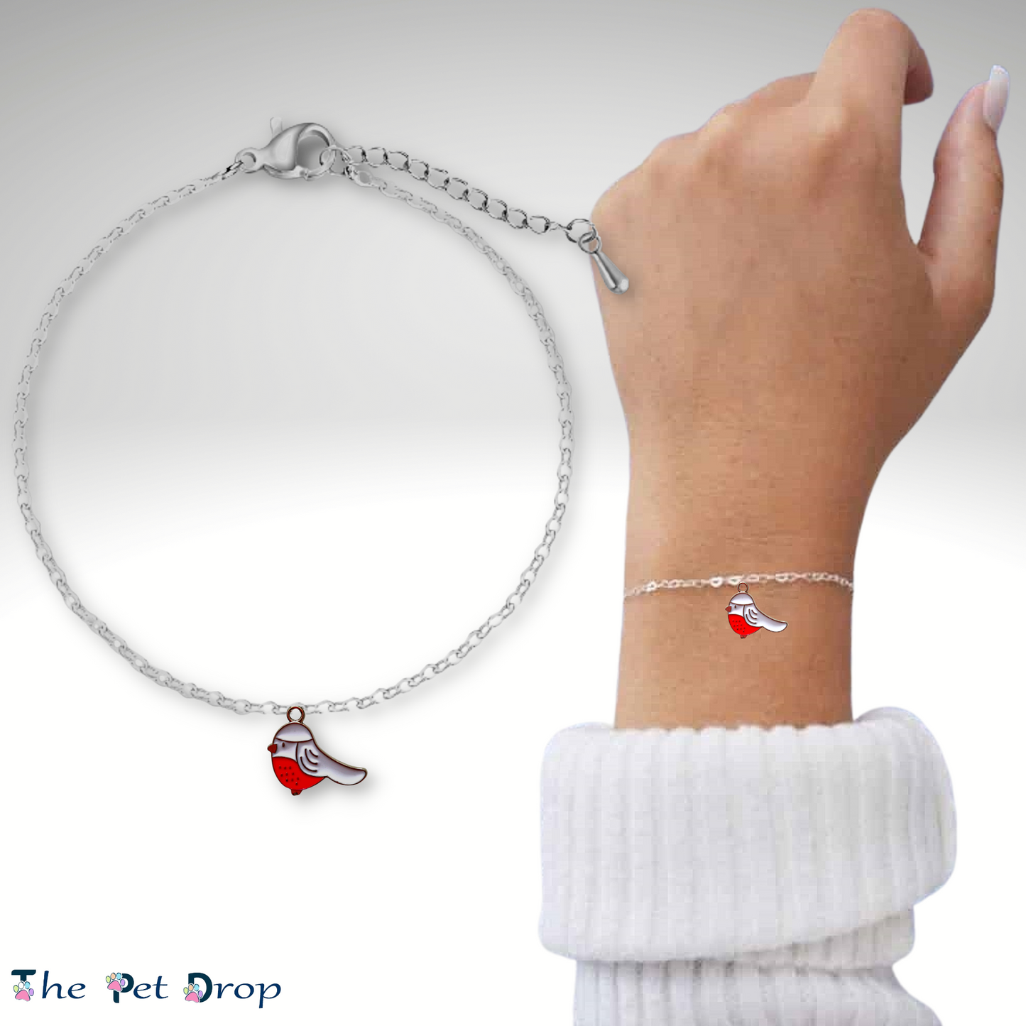 Christmas Robin Collection - The Pet Drop
