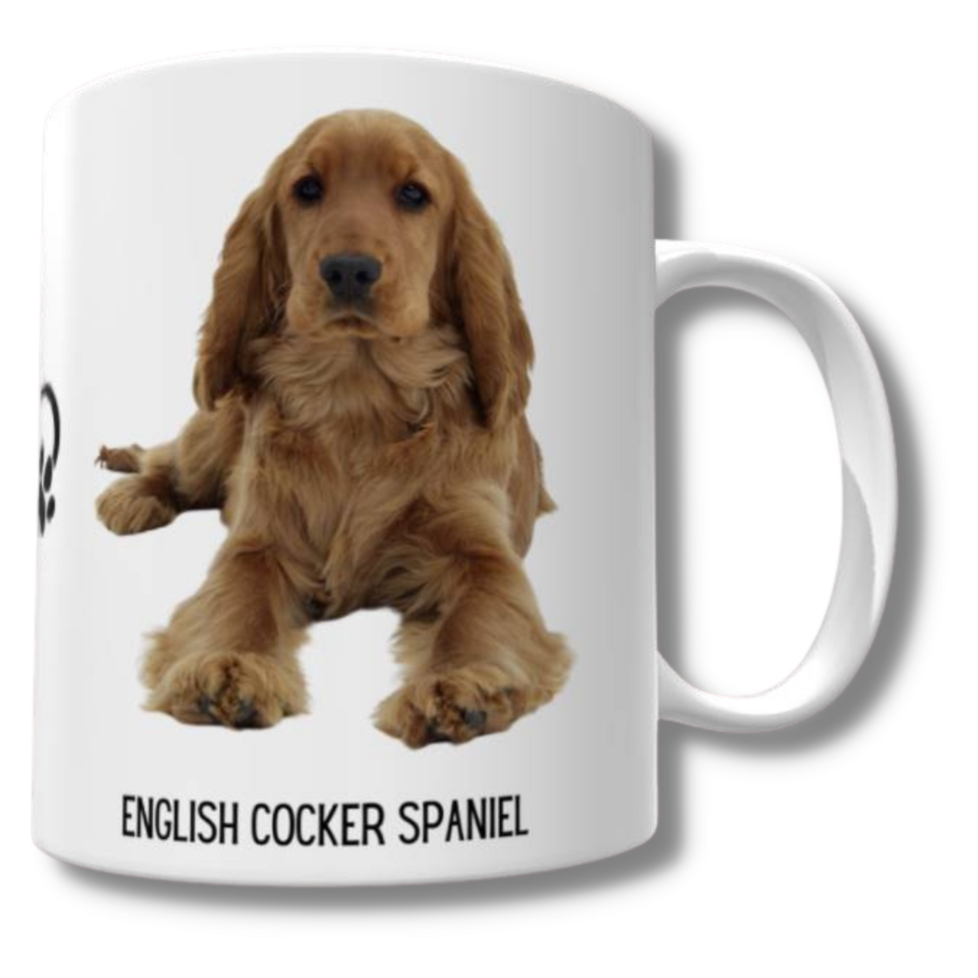 English Cocker Spaniel Mug - The Pet Drop