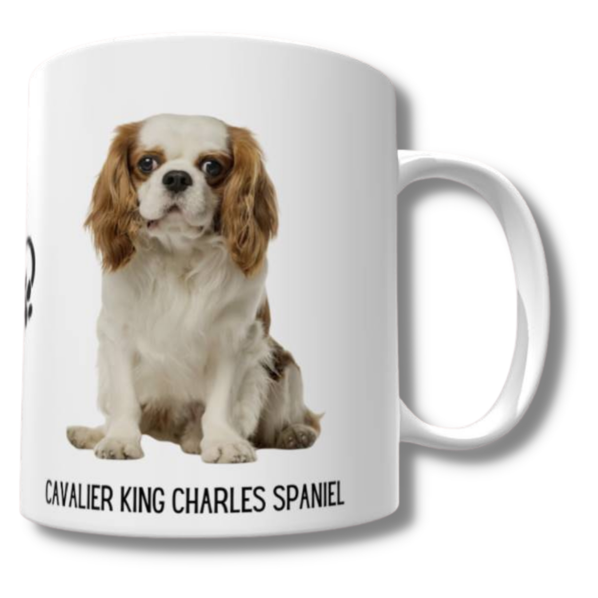 Cavalier King Charles Spaniel Mug - The Pet Drop