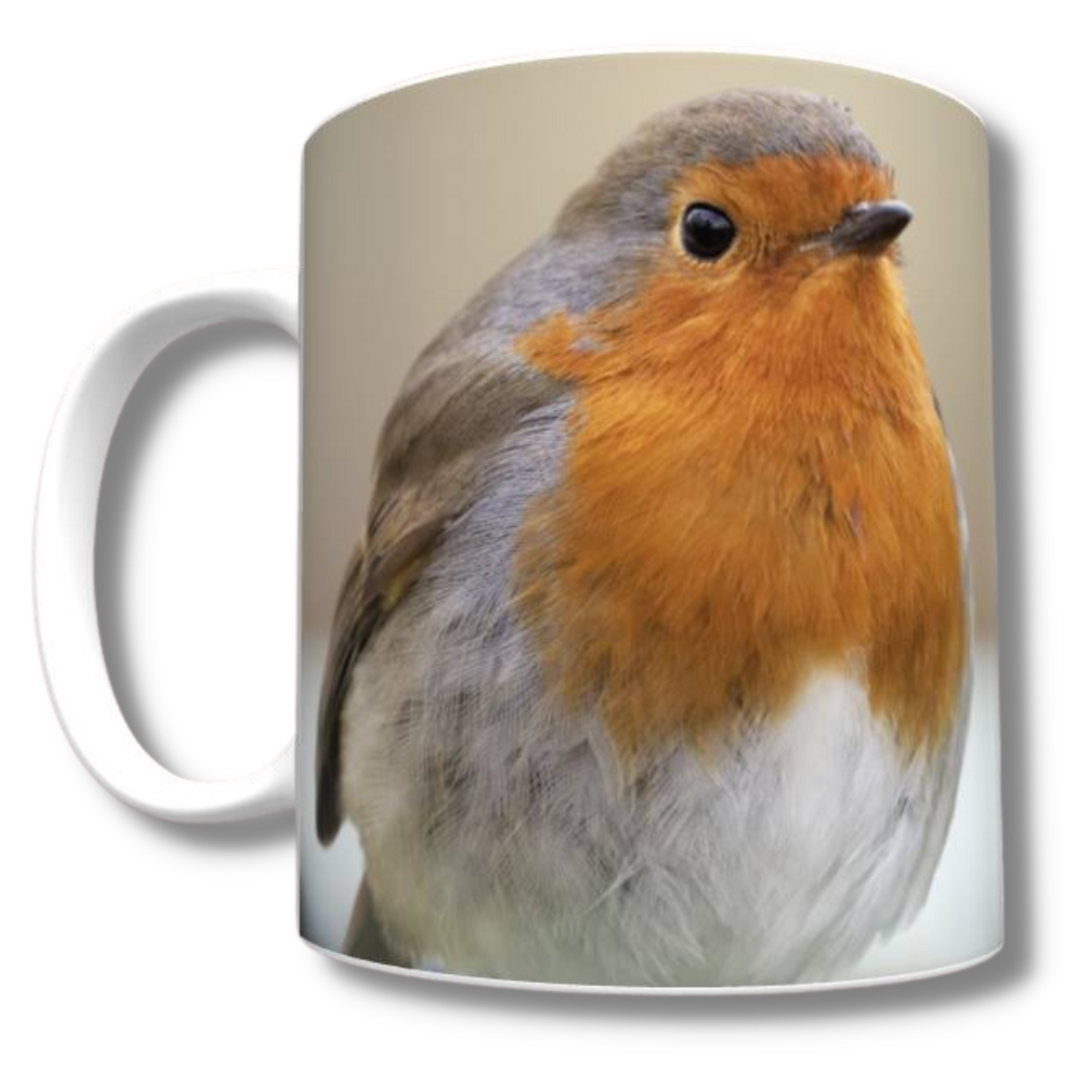 Double Trouble Robin Mug
