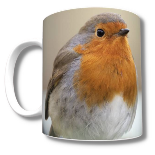 Double Trouble Robin Mug