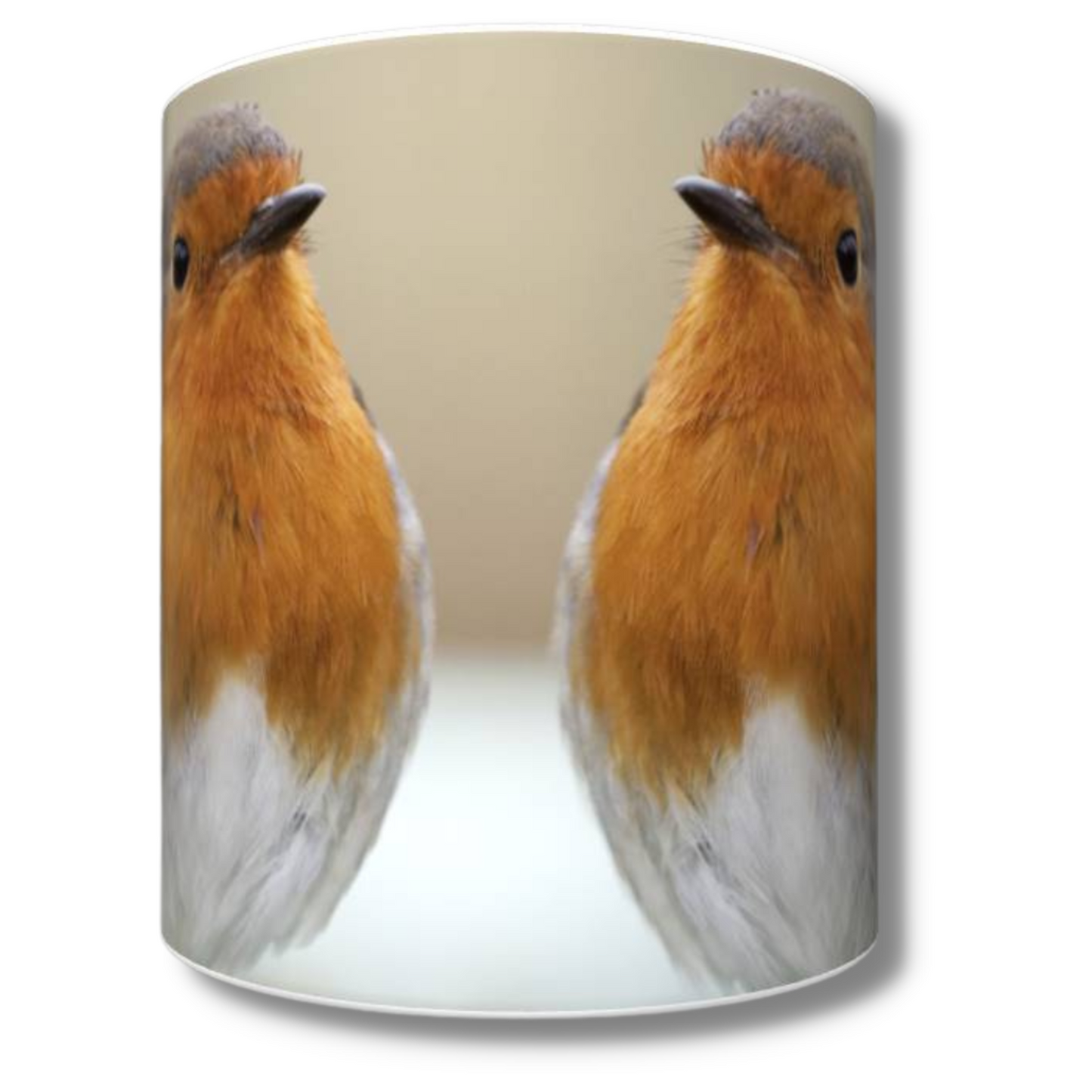 Double Trouble Robin Mug
