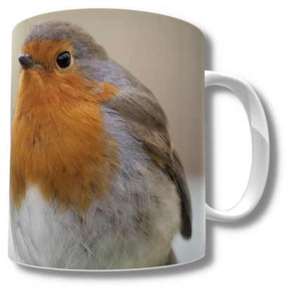 Double Trouble Robin Mug