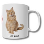 Ginger Cat Mug