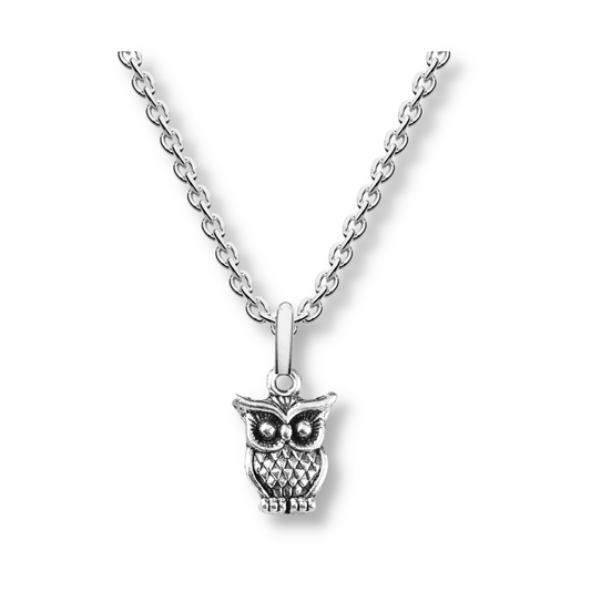 Owl Necklace - The Pet Drop