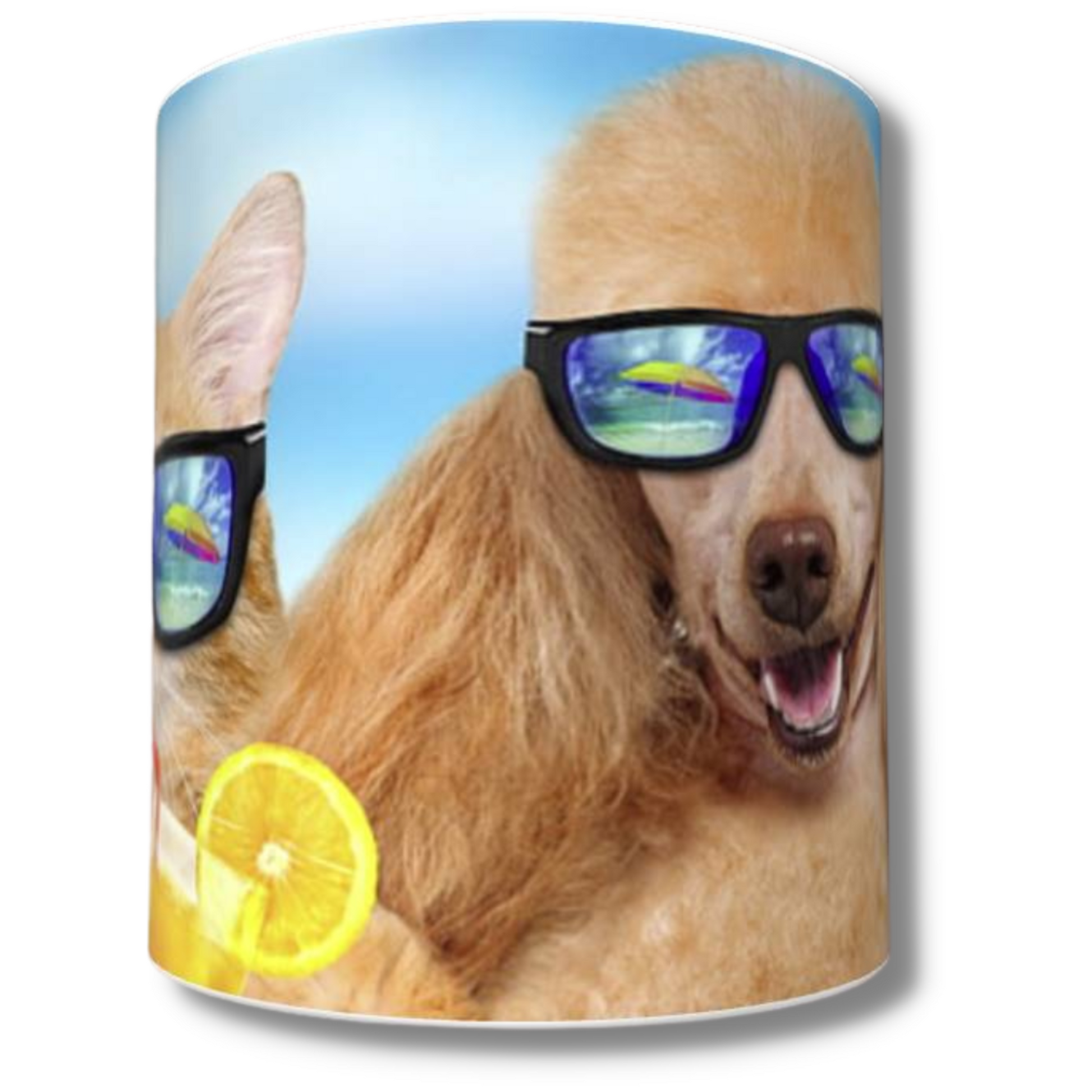 BFF's Mug - The Pet Drop