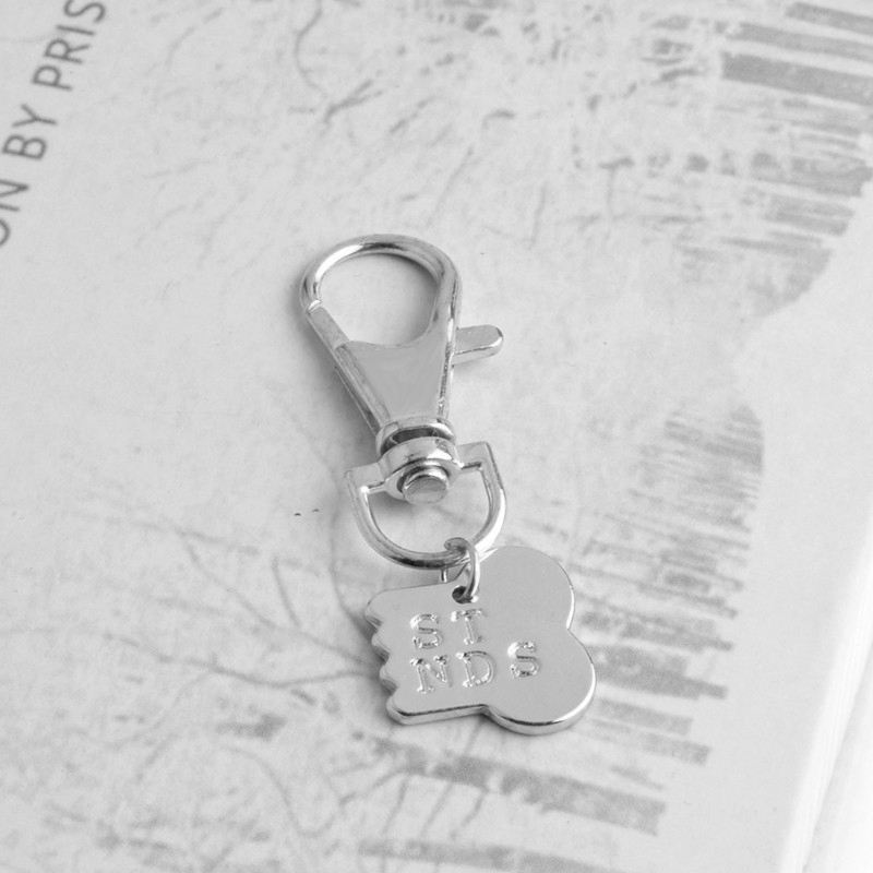silver half dog collar charm which says "st" and "nds" hanging on a silver key chain hook.