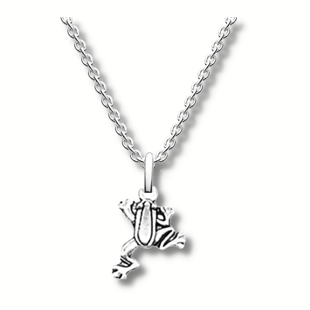 cute climbing frog silver pendant hanging on a silver chain.