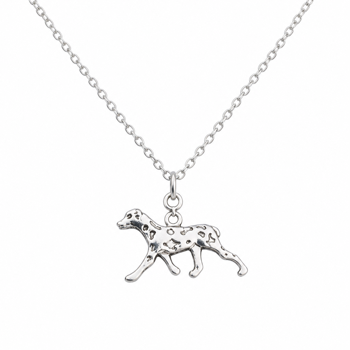 Spot On Necklace - The Pet Drop