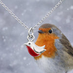 Forever Robin Red Breast Necklace