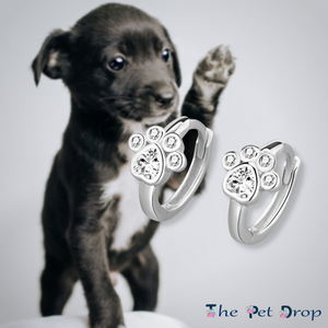 Paws of Joy Earrings (Silver Edition)