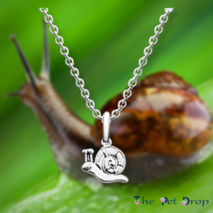 Snail Necklace