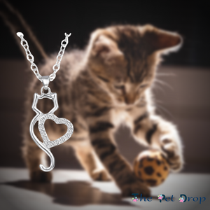 Purrfect Heart Necklace