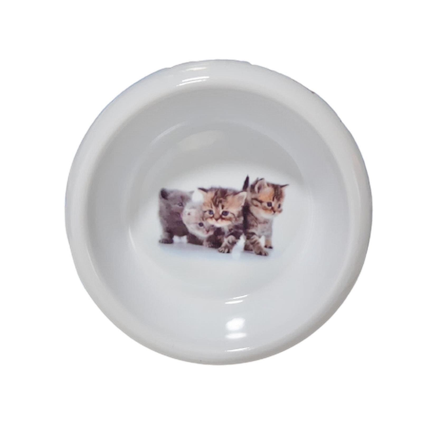 Premium Large Cat Bowl