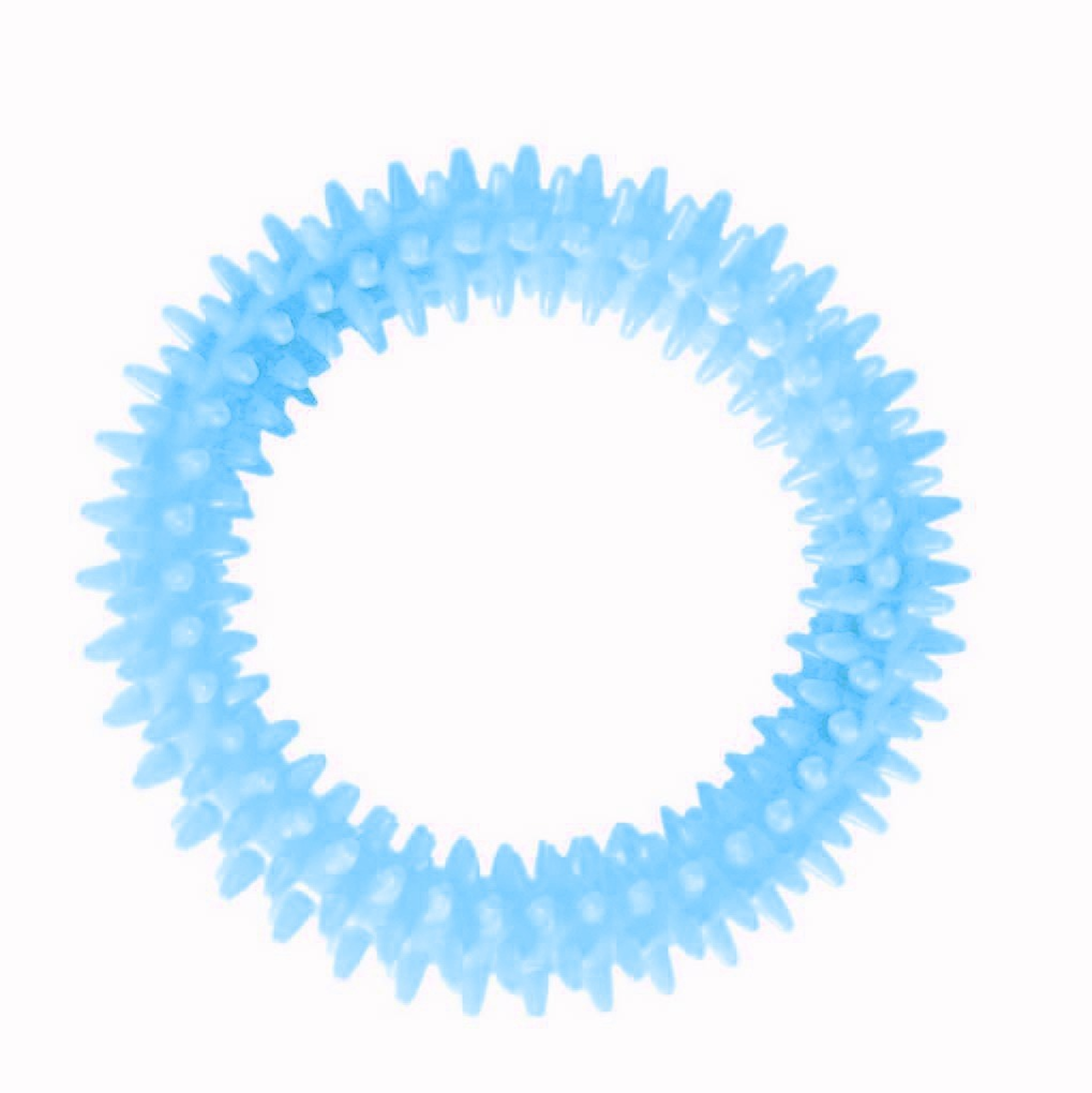 Dental Ring Chew Toy (Blue) - The Pet Drop