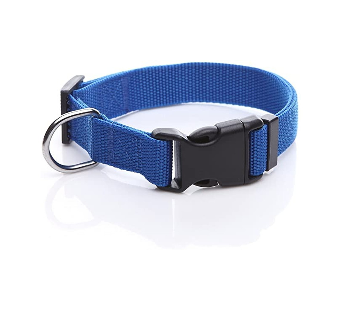 Essential Blue Dog Collar