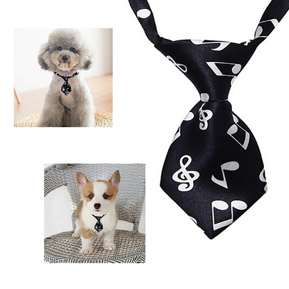 Music Note Pet Tie - The Pet Drop