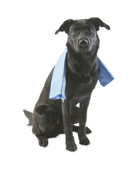 Pet Cooling Towel