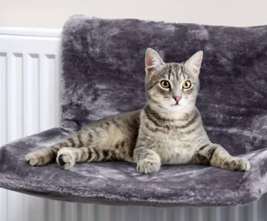 Cat Radiator Bed - The Pet Drop
