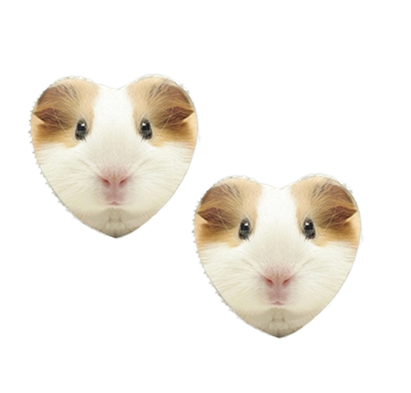 Guinea Pig s Love Earrings The Pet Drop