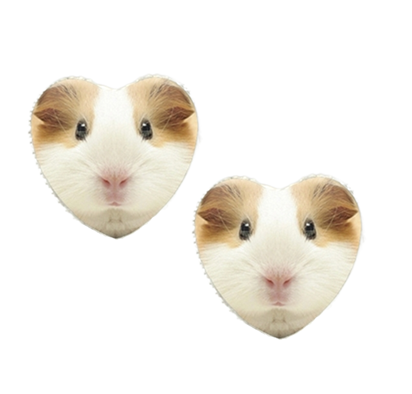 Guinea Pig's Love Earrings