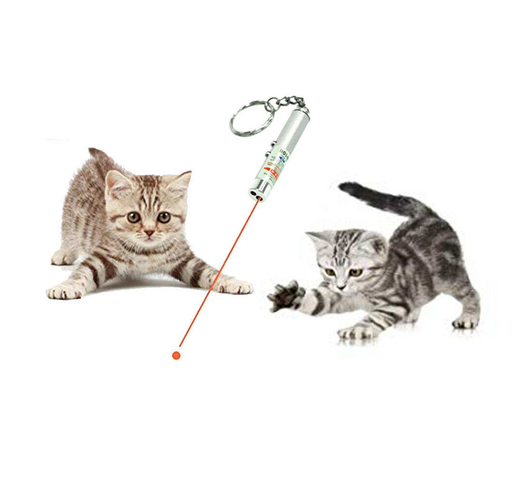 Laser Pen & Torch Cat Toy