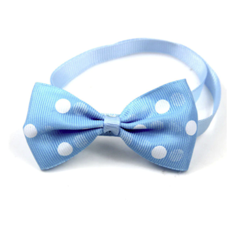 Polka Dot Pet Bow Tie (Blue) - The Pet Drop