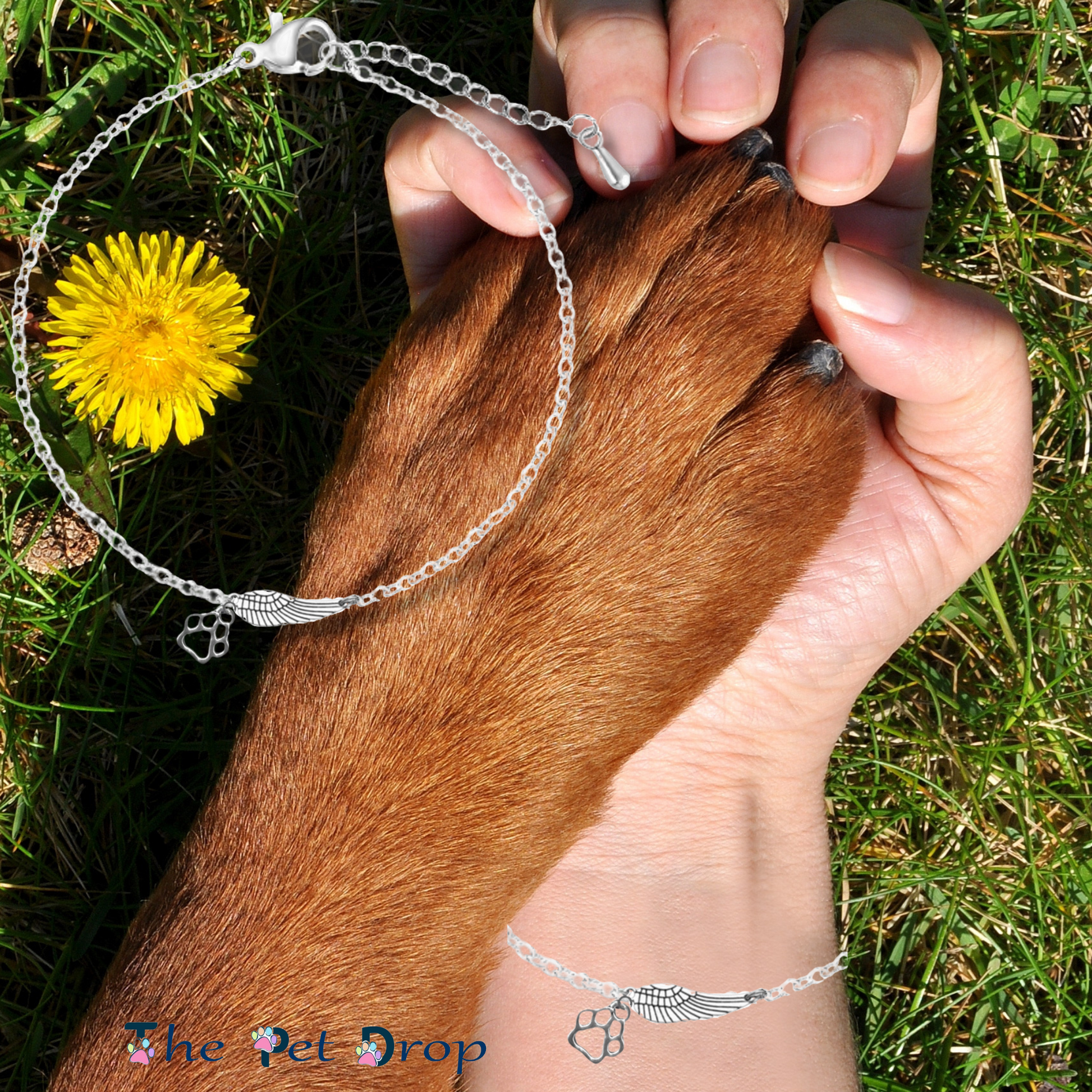 Angel Paws Bracelet - The Pet Drop